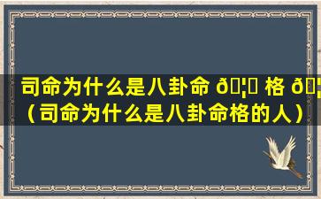 司命为什么是八卦命 🦈 格 🦊 （司命为什么是八卦命格的人）